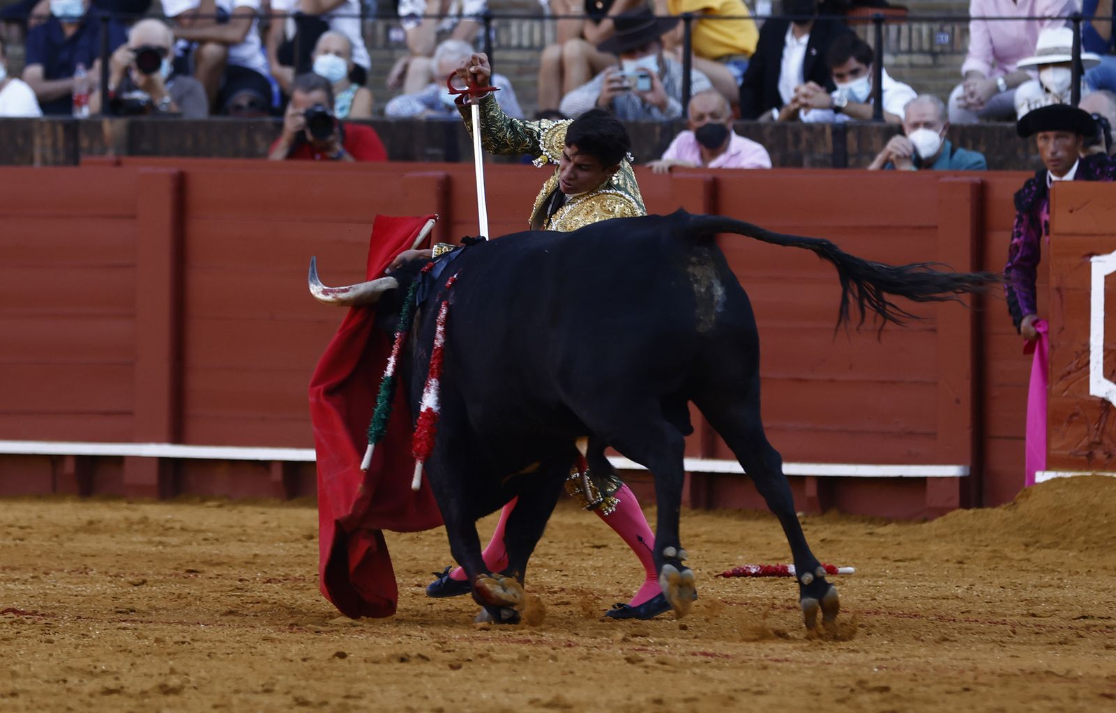 Fotos de la segunda novillada de la feria de San Miguel de Sevilla