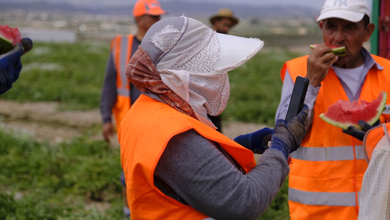 La sandía y el melón de Huércal Overa, manjares en imágenes