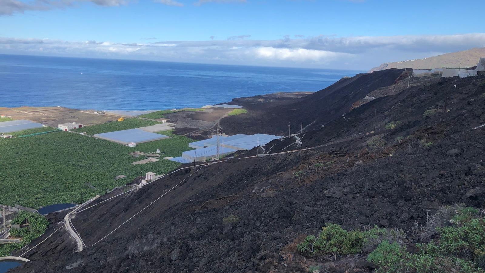 Plataneras en la fajana del volcán de San Juan (en primer término), al lado de la del Tajogaite