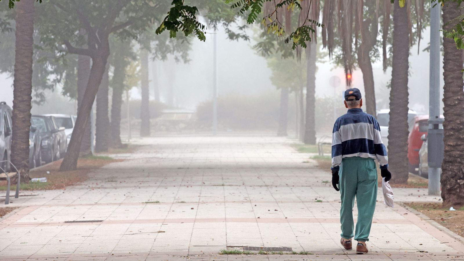 Mañana de niebla en Jerez