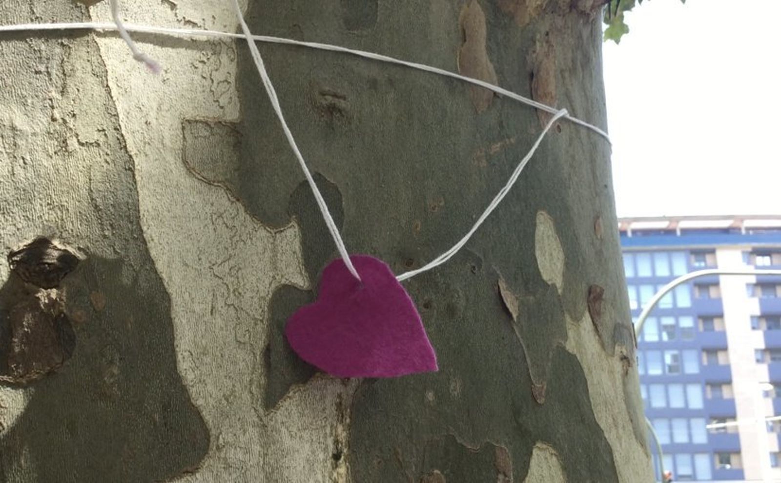 Un árbol con un corazón simbólico.