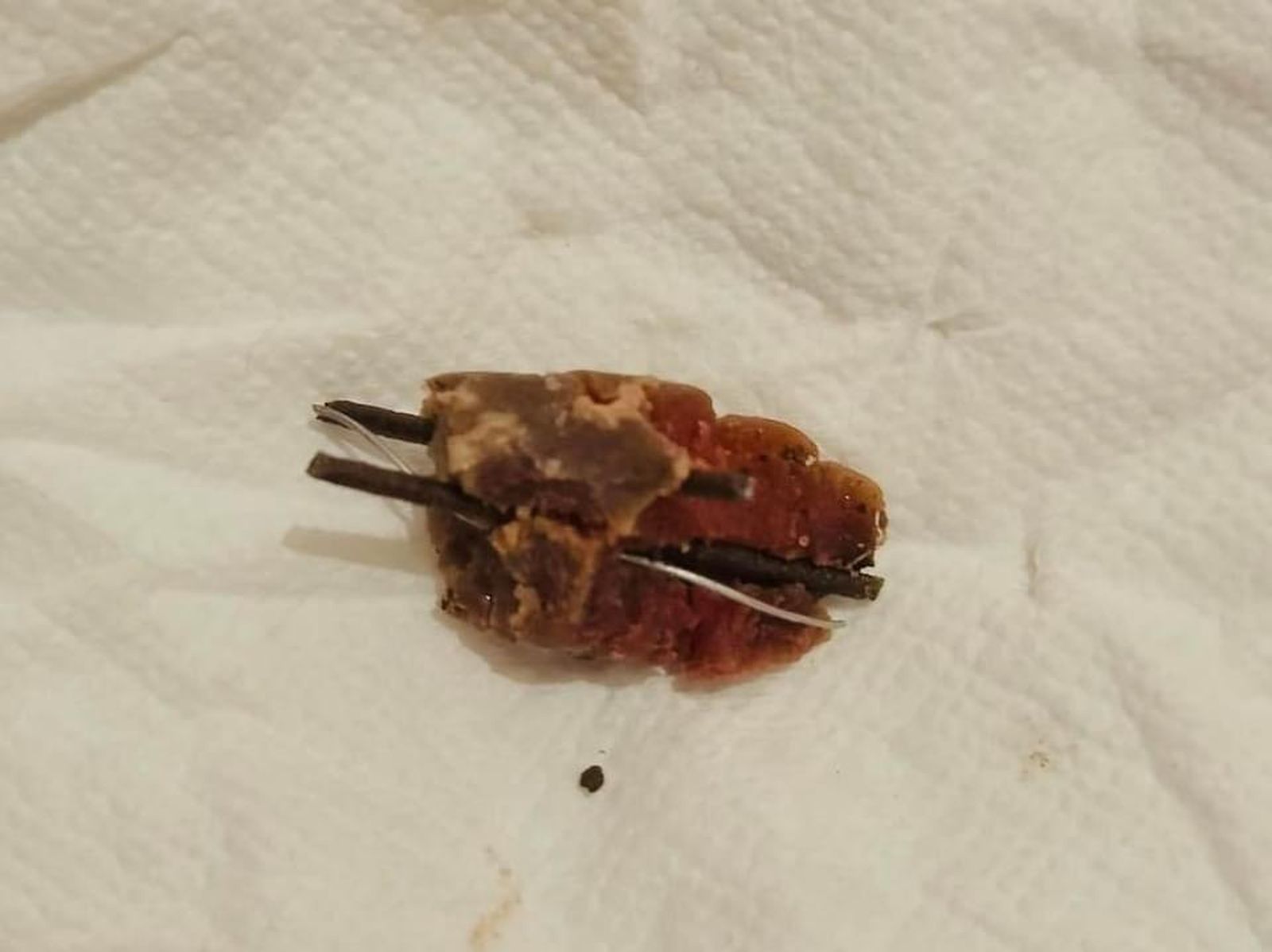 Trozo de salchicha con clavos extraída del interior de un perro.