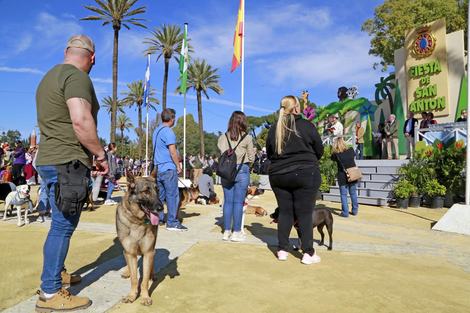 Imágenes de San Antón 2020 en Jerez