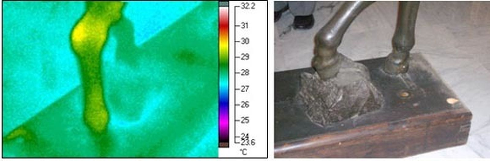 Técnicas industriales y aeronáuticas al servicio del estudio de la imaginería