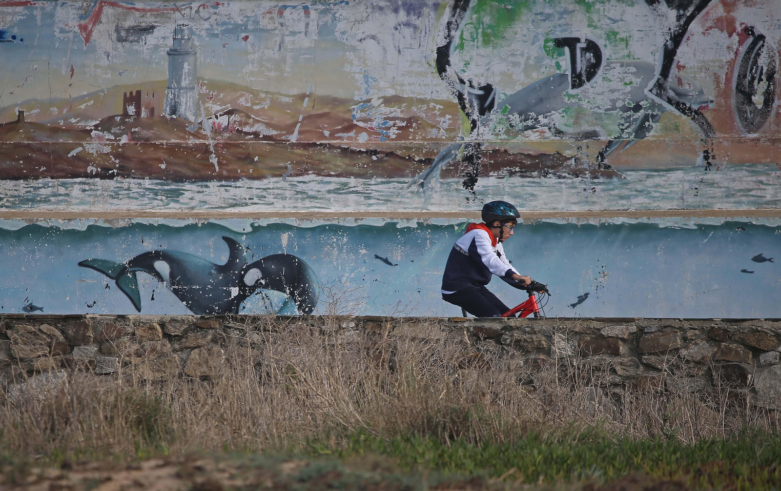 Imágenes de una mañana de noviembre en Tarifa