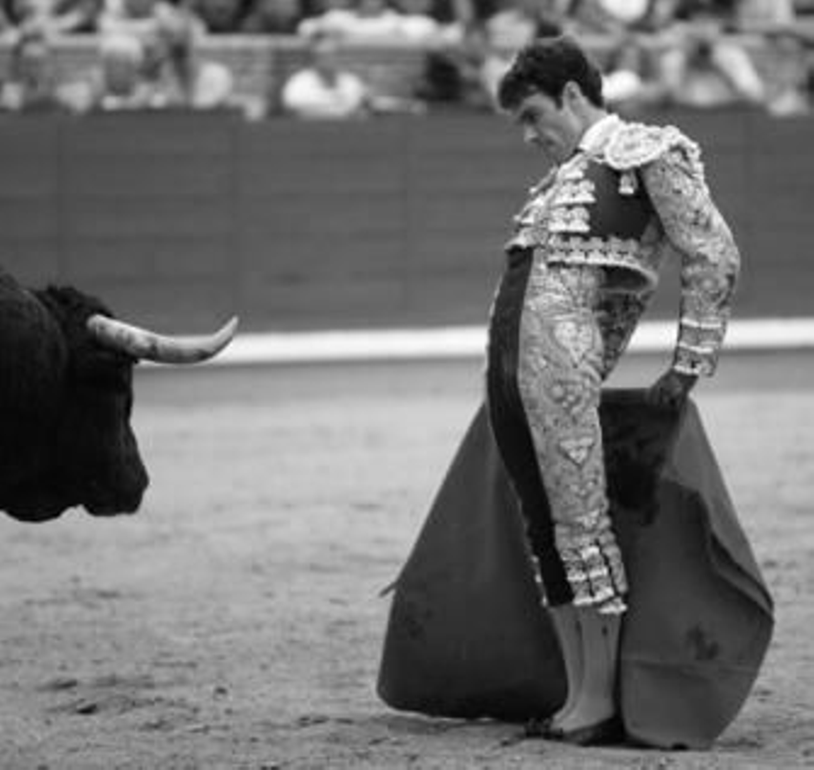 Algeciras pierde a José Tomás El diestro de Galapagar no se recupera de las cornadas sufridas en Las Ventas· El alicantino José María Manzanares será quien lo sustituya