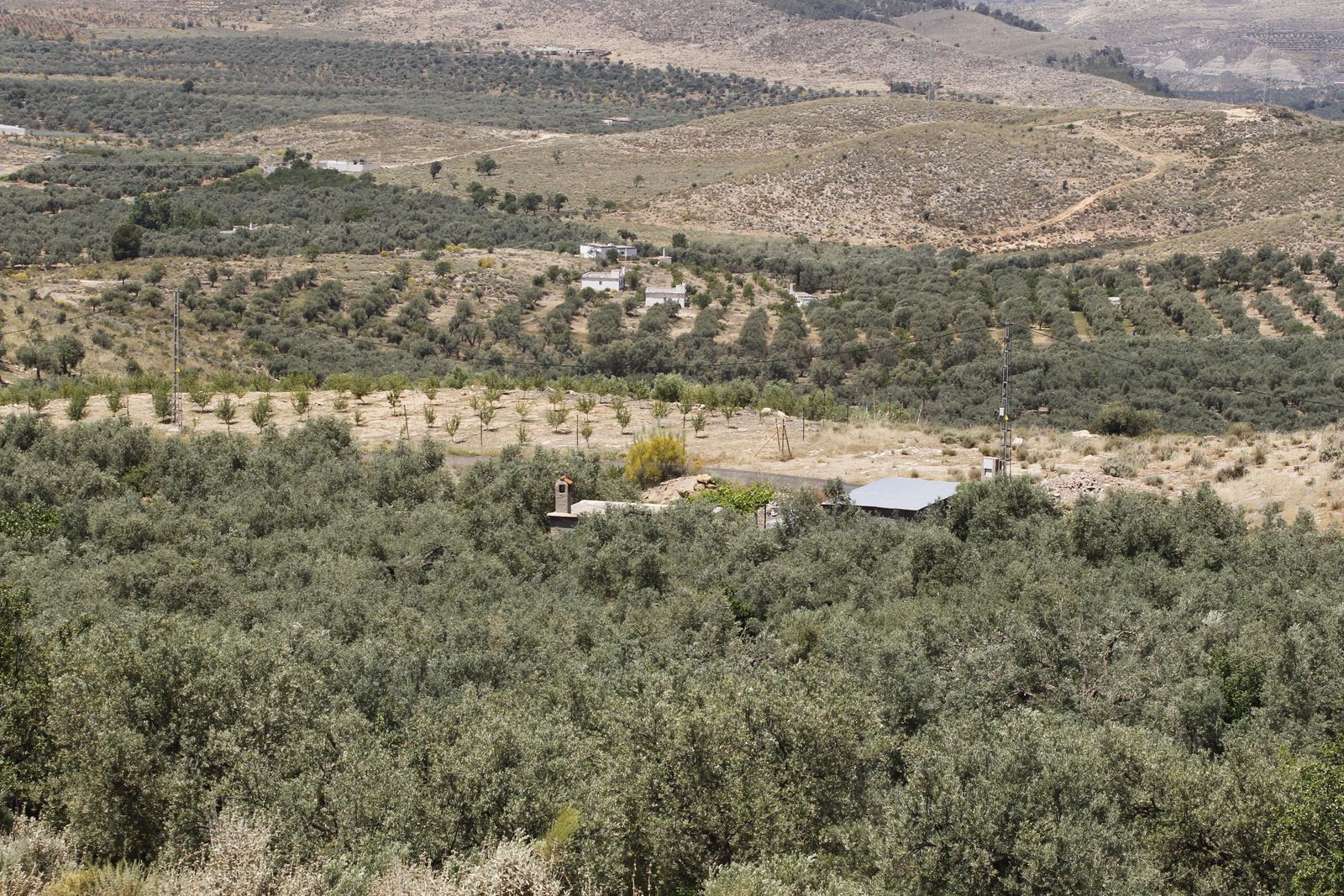 ALCOLEA. Luces versus sincronizador magnético