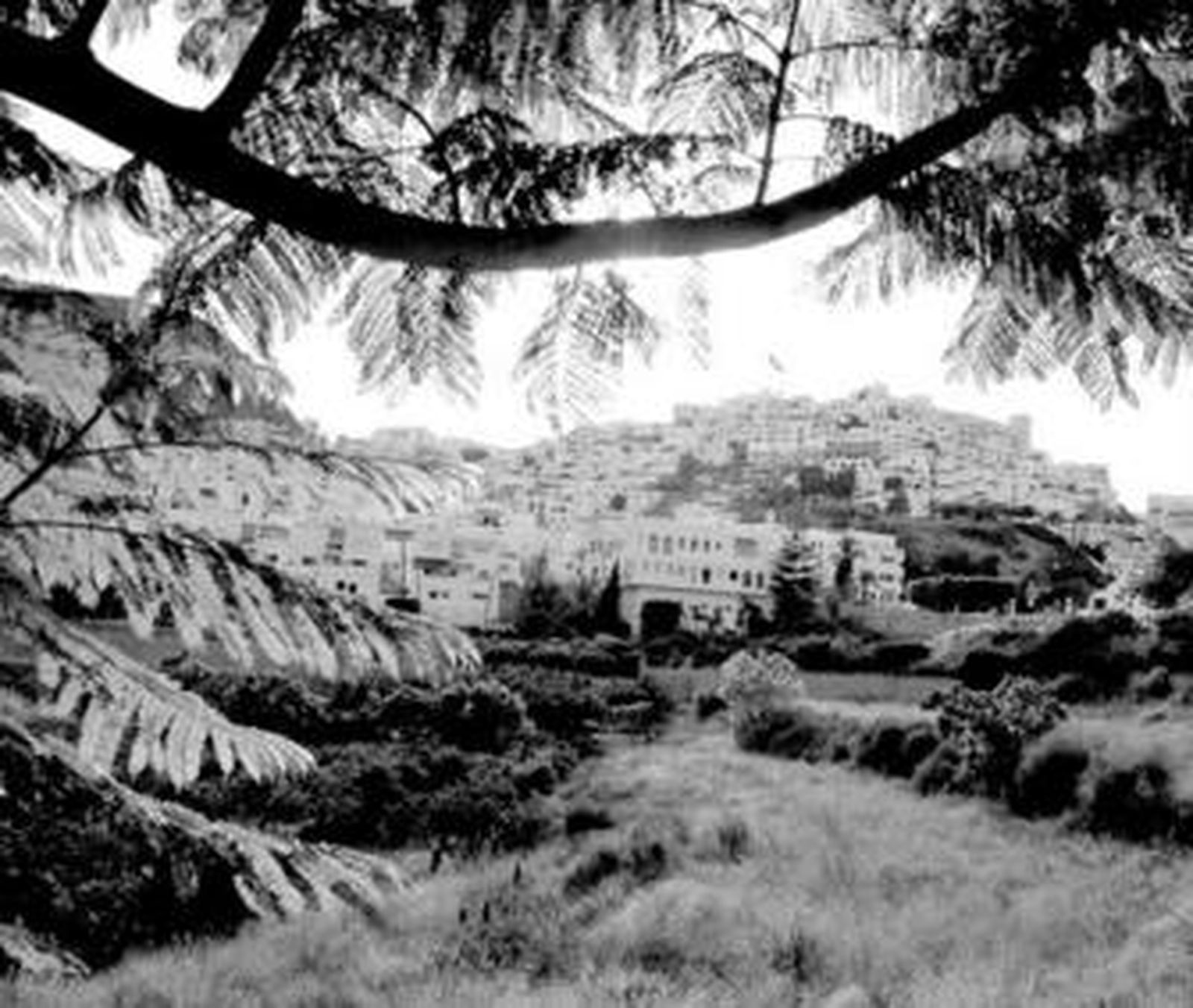 Vista exterior del municipìo de Mojácar, situado a 152 metros y a 90 kilómetros de la capital.