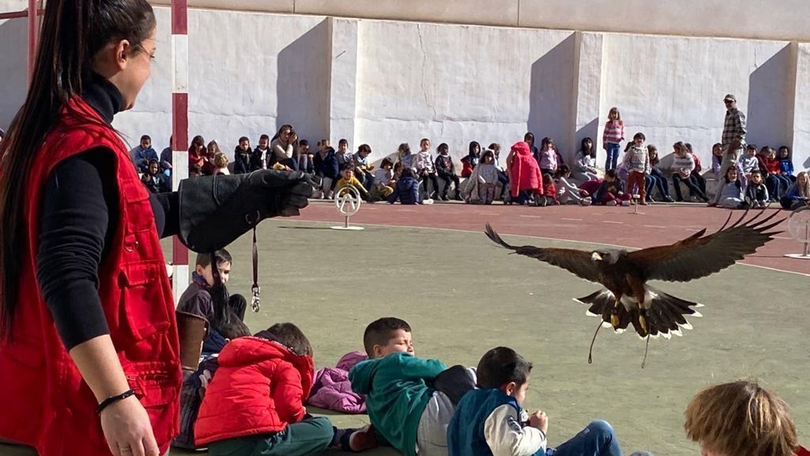 En las exhibiciones participan tanto alumnado como docentes y además de llamativas son muy instructivas.