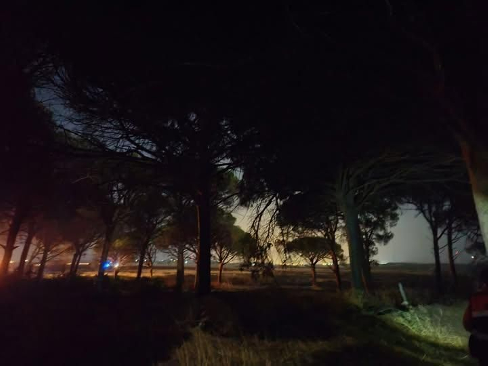 El incendio de Puerto Real, ya controlado.