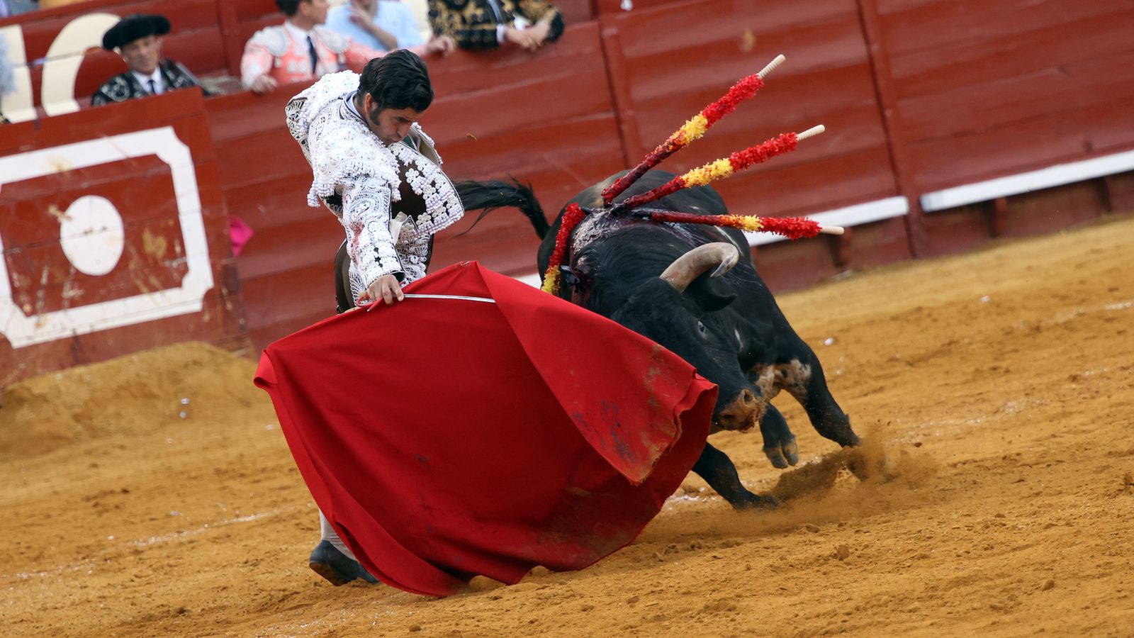 Tercera tarde de toros y última de la Feria de Jerez con Morante, Juan Ortega y Roca Rey