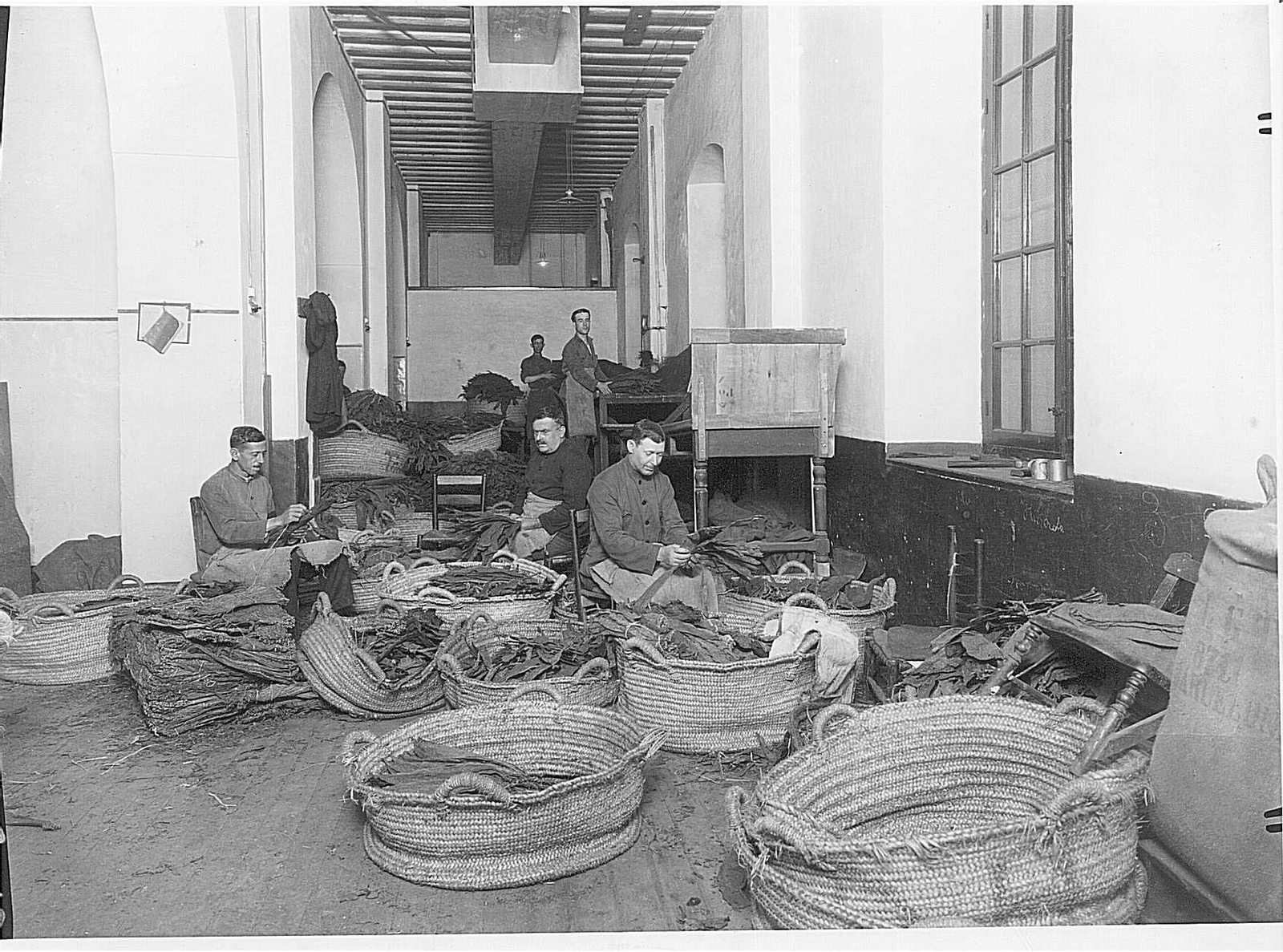 Imágenes inéditas de la vieja fábrica de tabacos de Cádiz