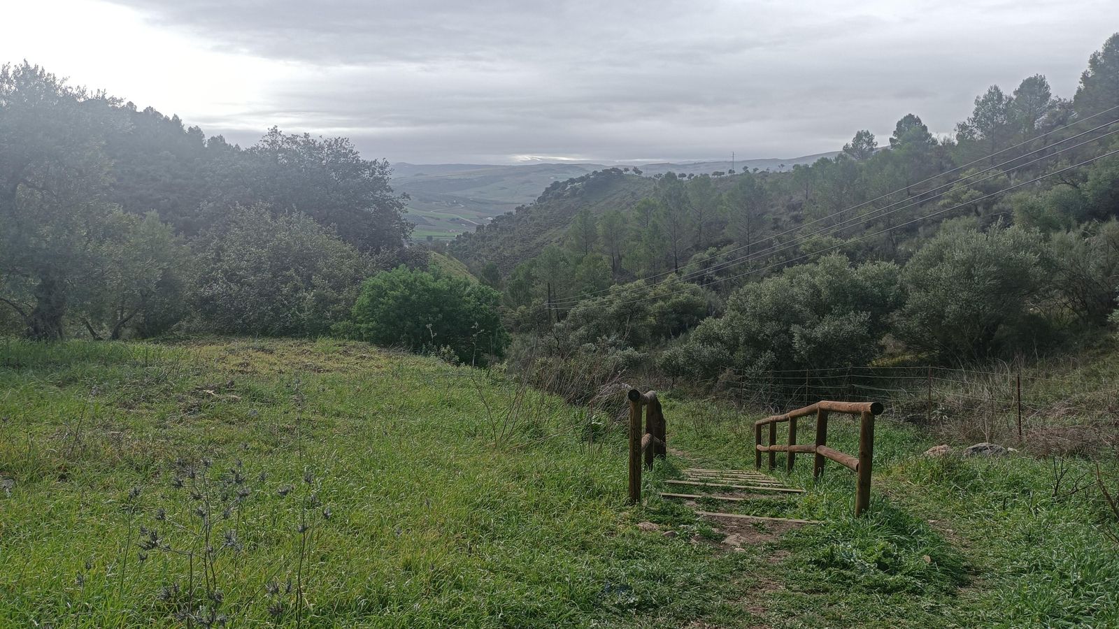 El camino cuenta con escaleras y barandillas de madera.