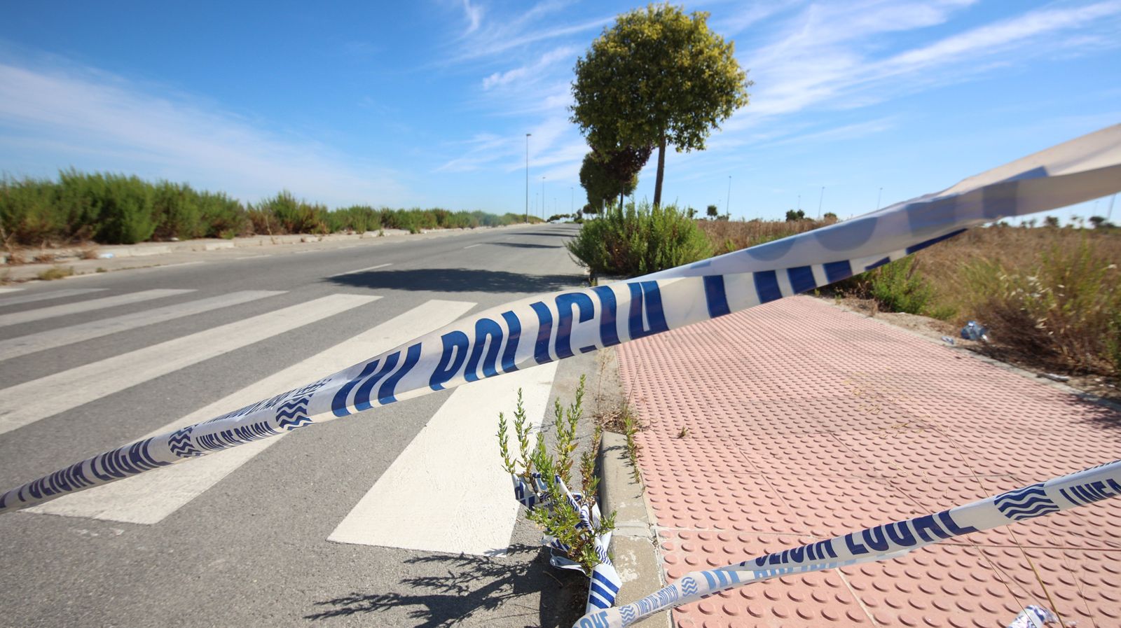 La Norieta de polígono empresarial a escombrera