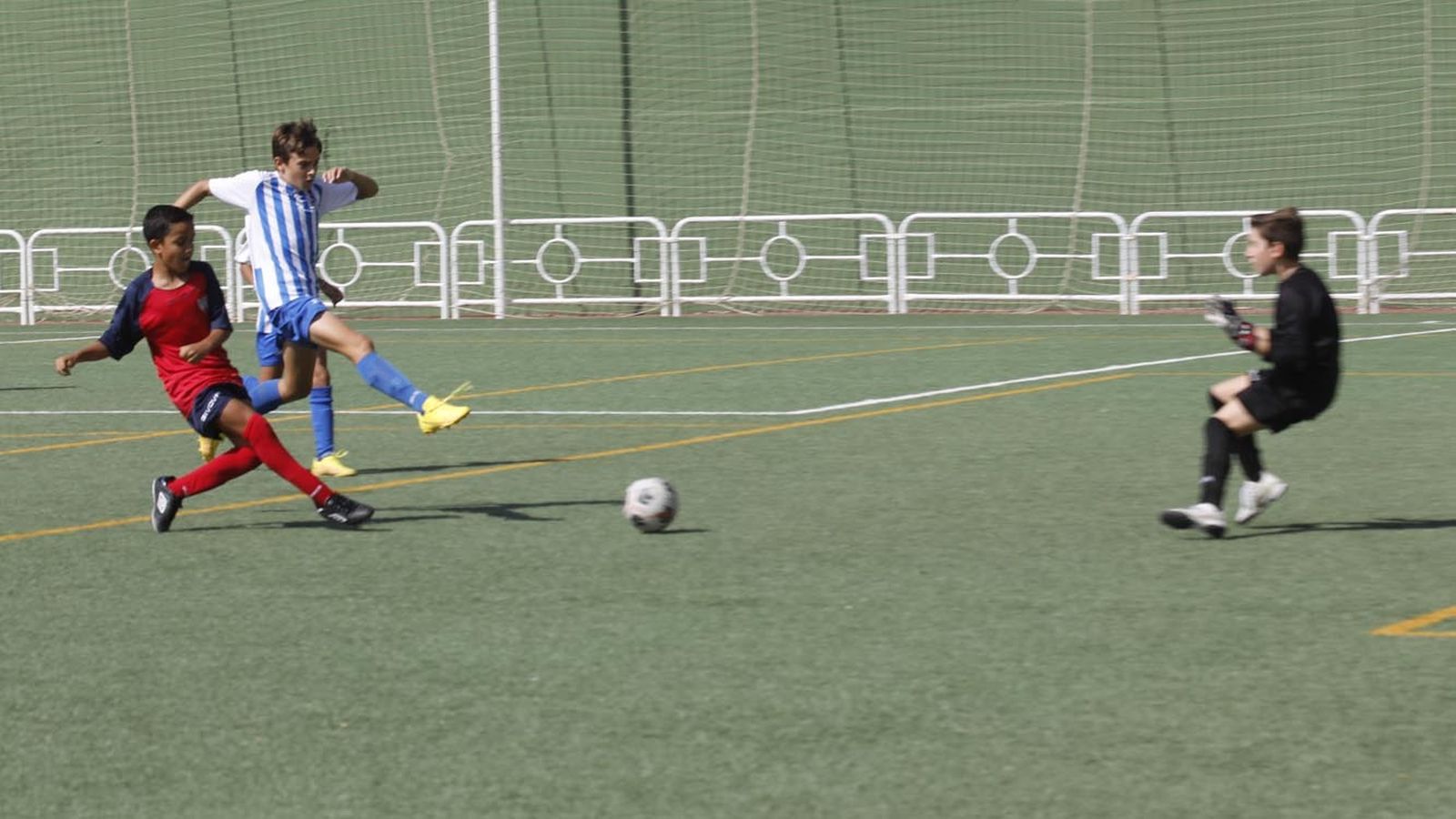 Las fotos del Torneo de alevines en el campo de Los Olivíllos en San Roque