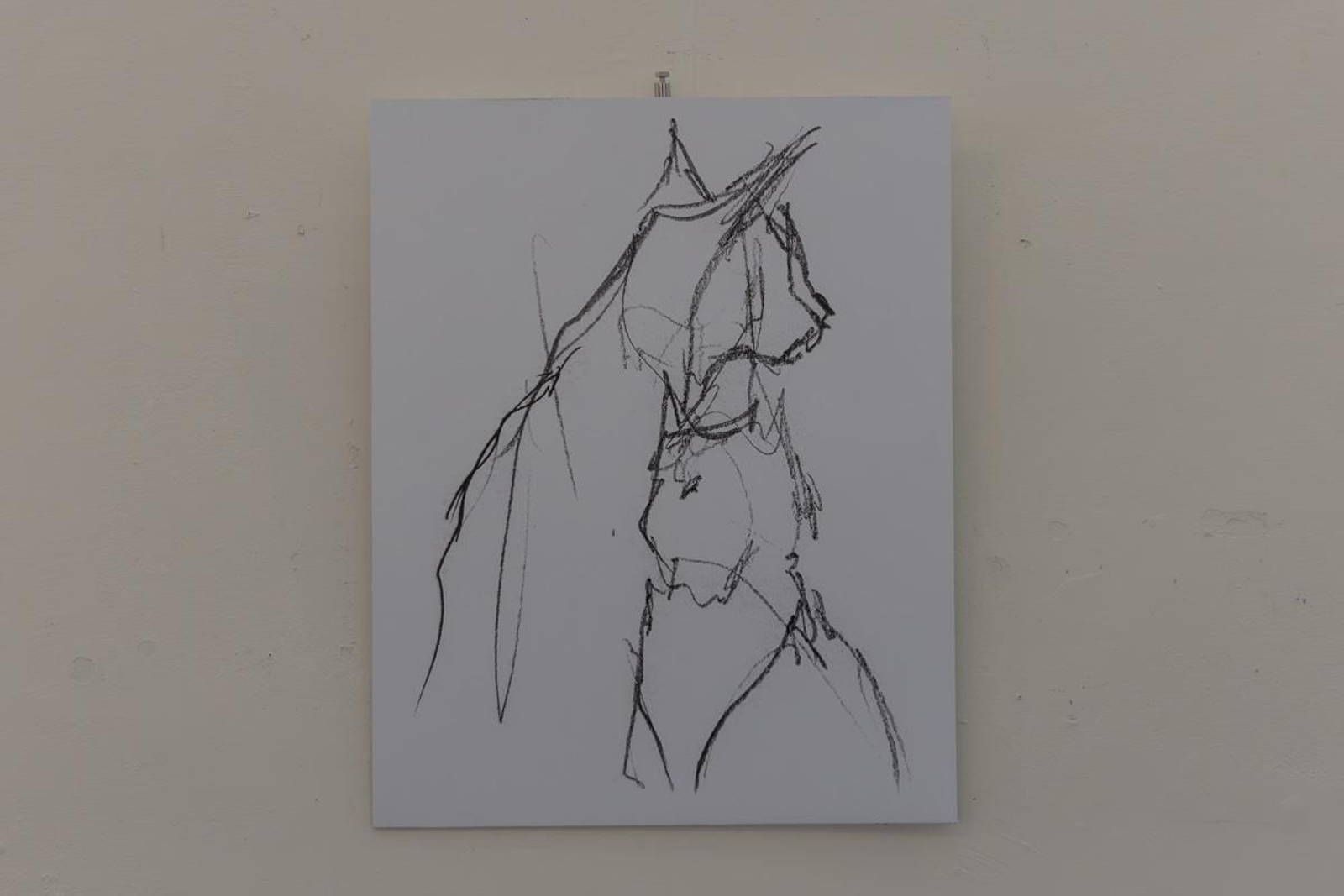 Exposición Los pinceles del lince ibérico, en imágenes