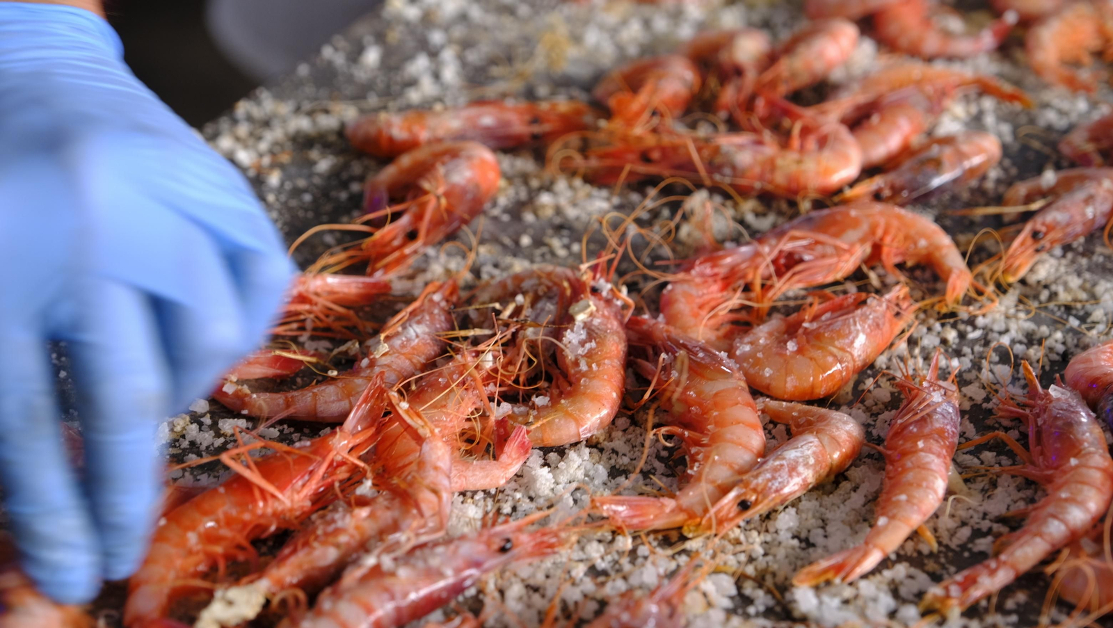 Imágenes de la Feria de la Gamba Roja de Garrucha