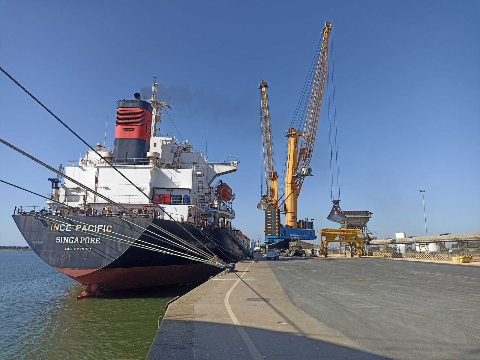 Descarga de harina ecológica en el Puerto de Huelva