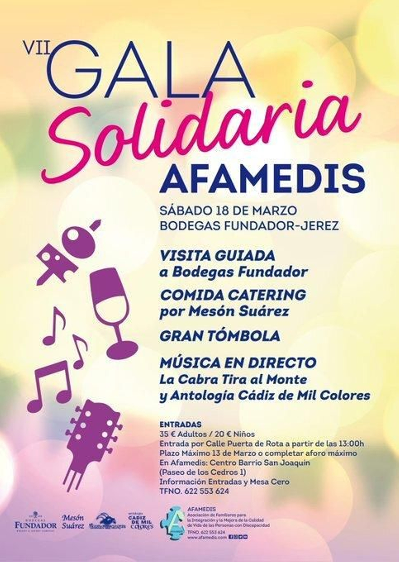 Gala Solidaria Afamedis