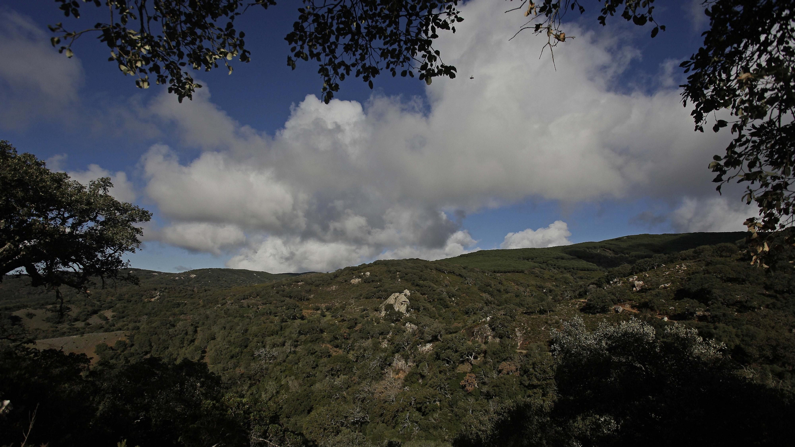 Sendero de la finca Murta en Los Barrios