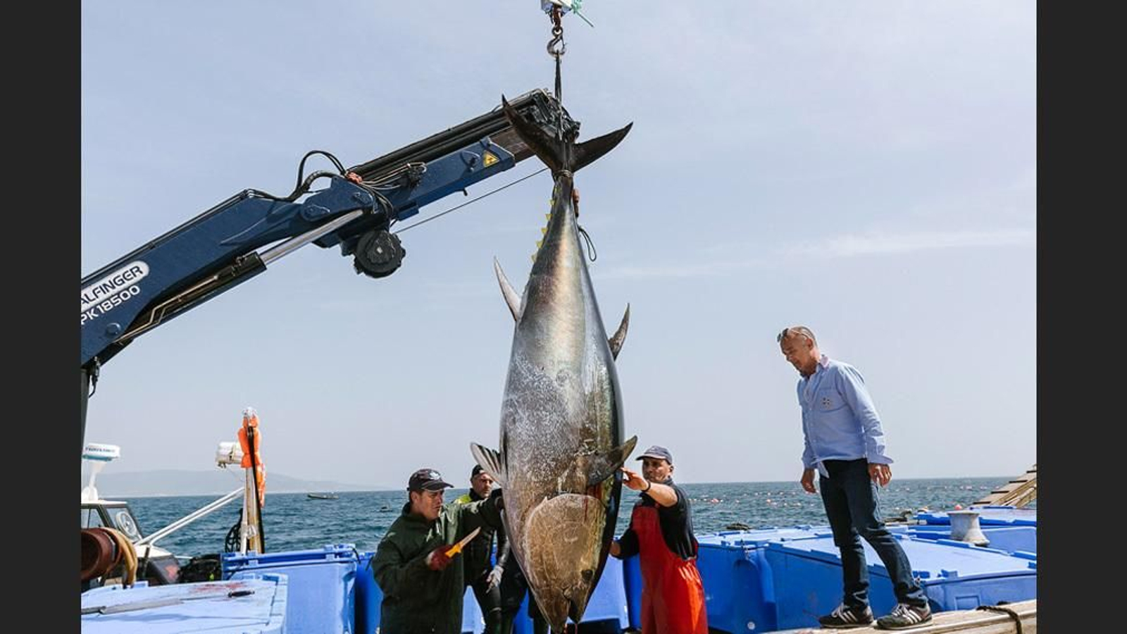 Imágenes de la primera levantá del año