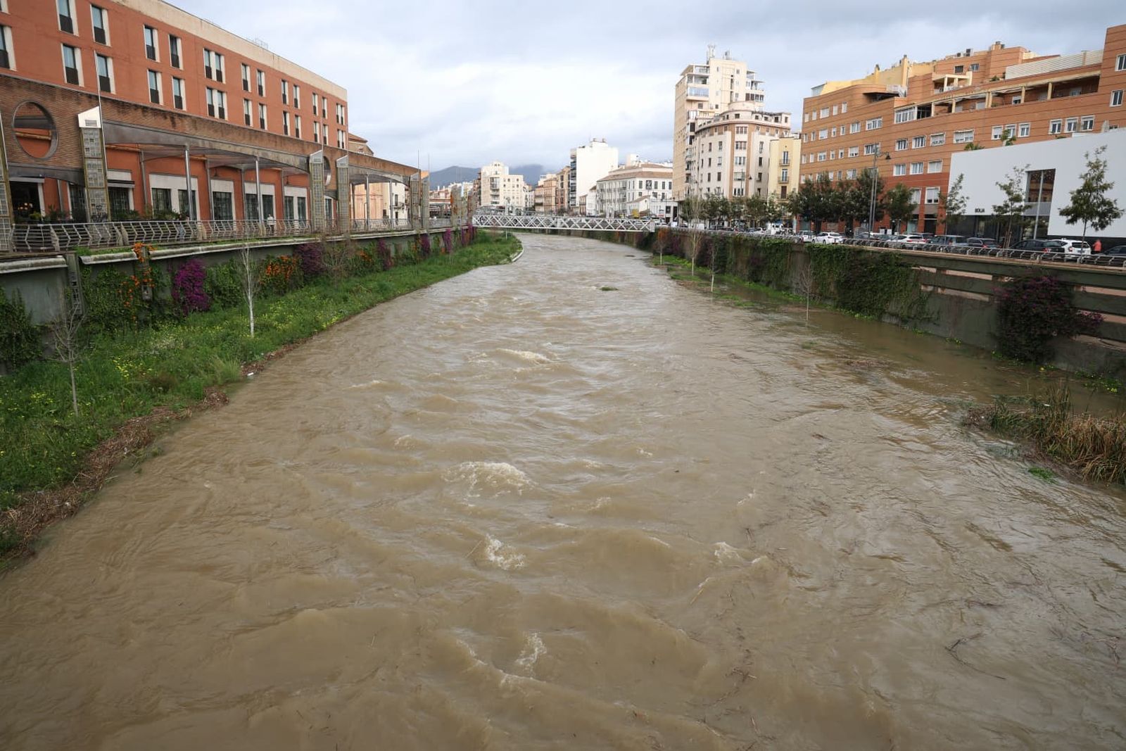 El aspecto del Guadalmedina en Málaga tras el desembalse de El Limonero.