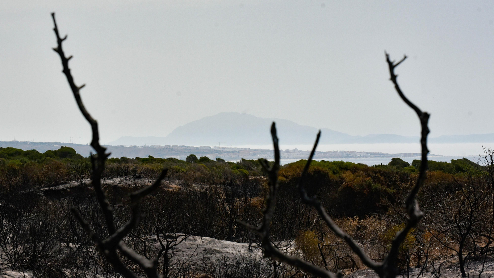 Las fotos de la zona afectada por el incendio de Valdevaqueros Las fotos de la zona afectada por el incendio de Valdevaqueros