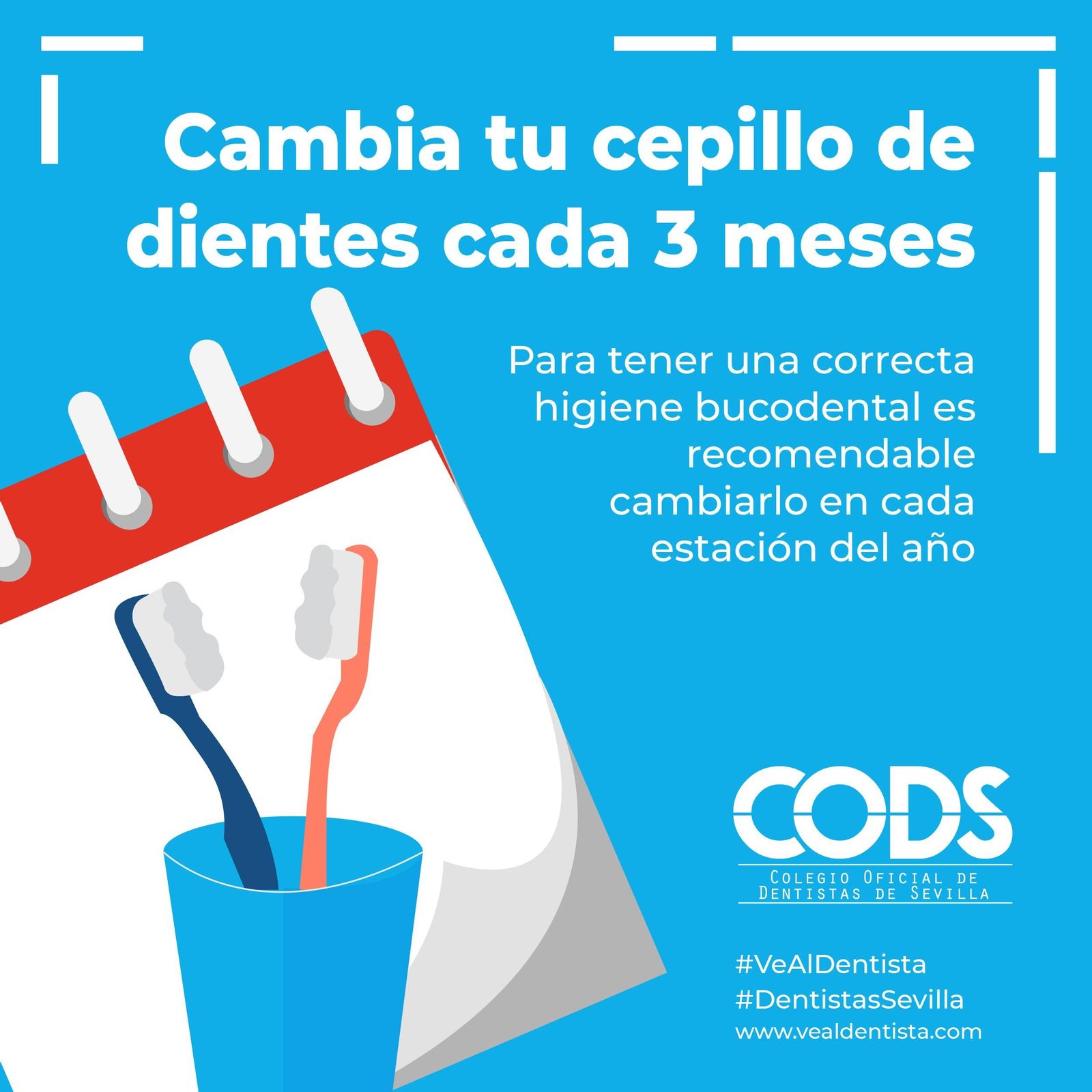 Cambia tu cepillo de dientes cada 3 meses