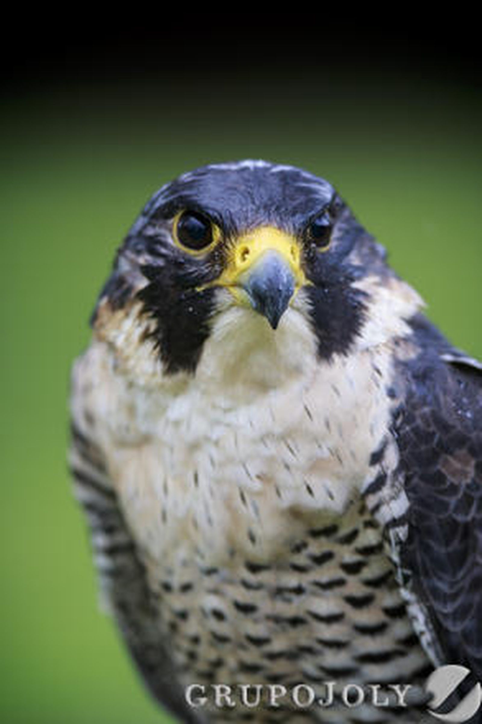 Foto: Julio Gonzalez