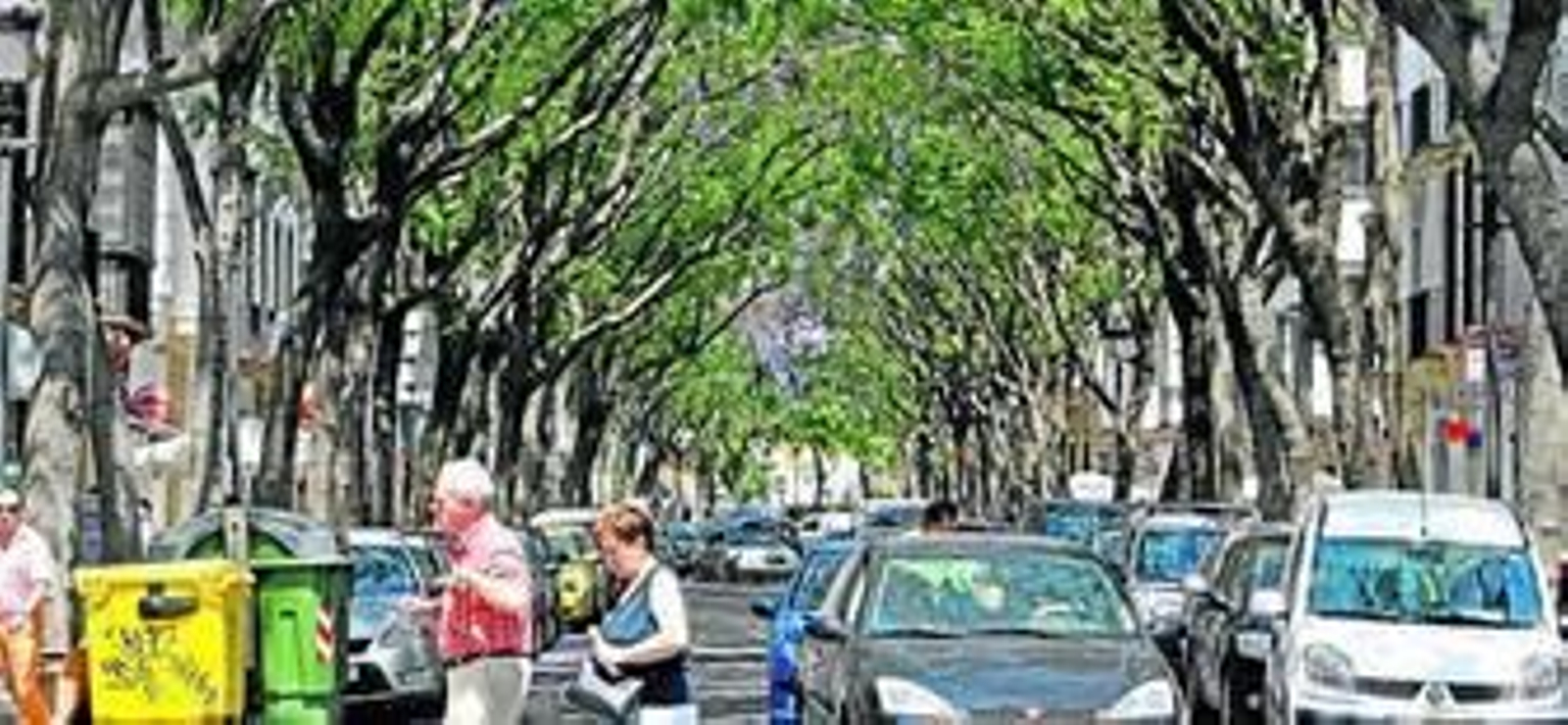 Imagen de las jacarandas de la calle Porvera captada esta misma semana.