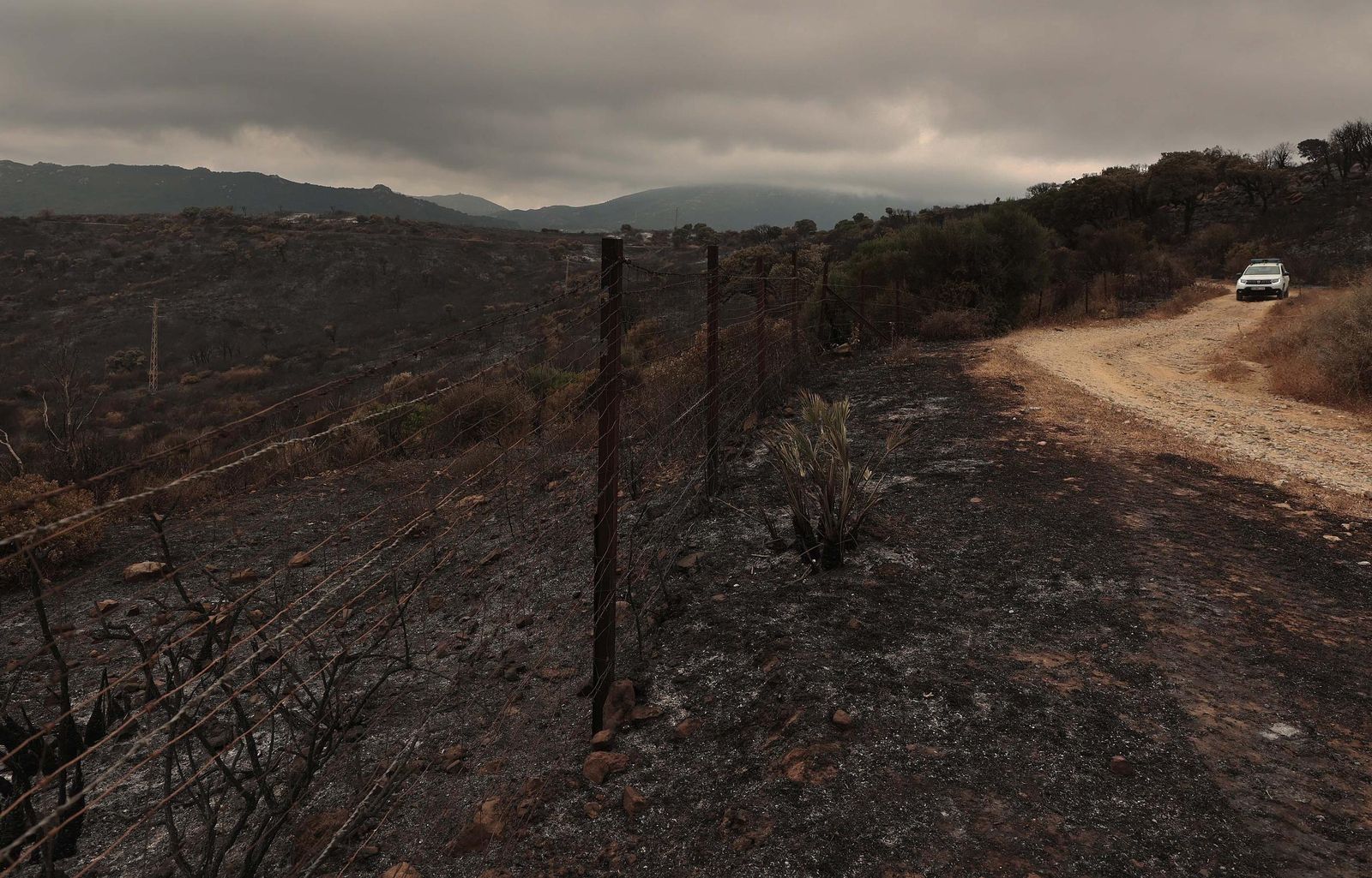 Fotos de los efectos del incendio en el Puerto del Laurel en Algeciras