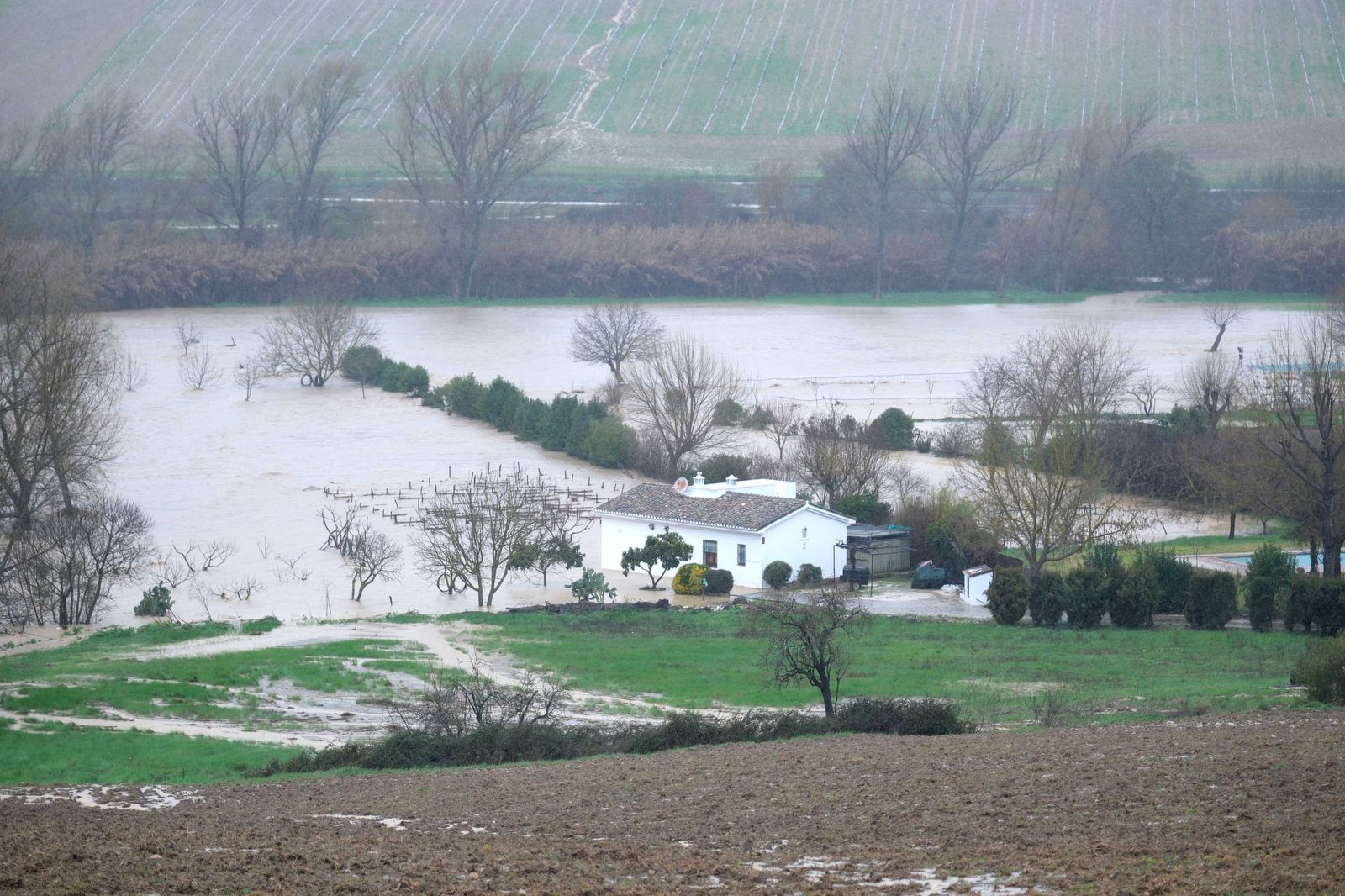 Viviendas inundadas por el desbordamiento del río Guadiaro.