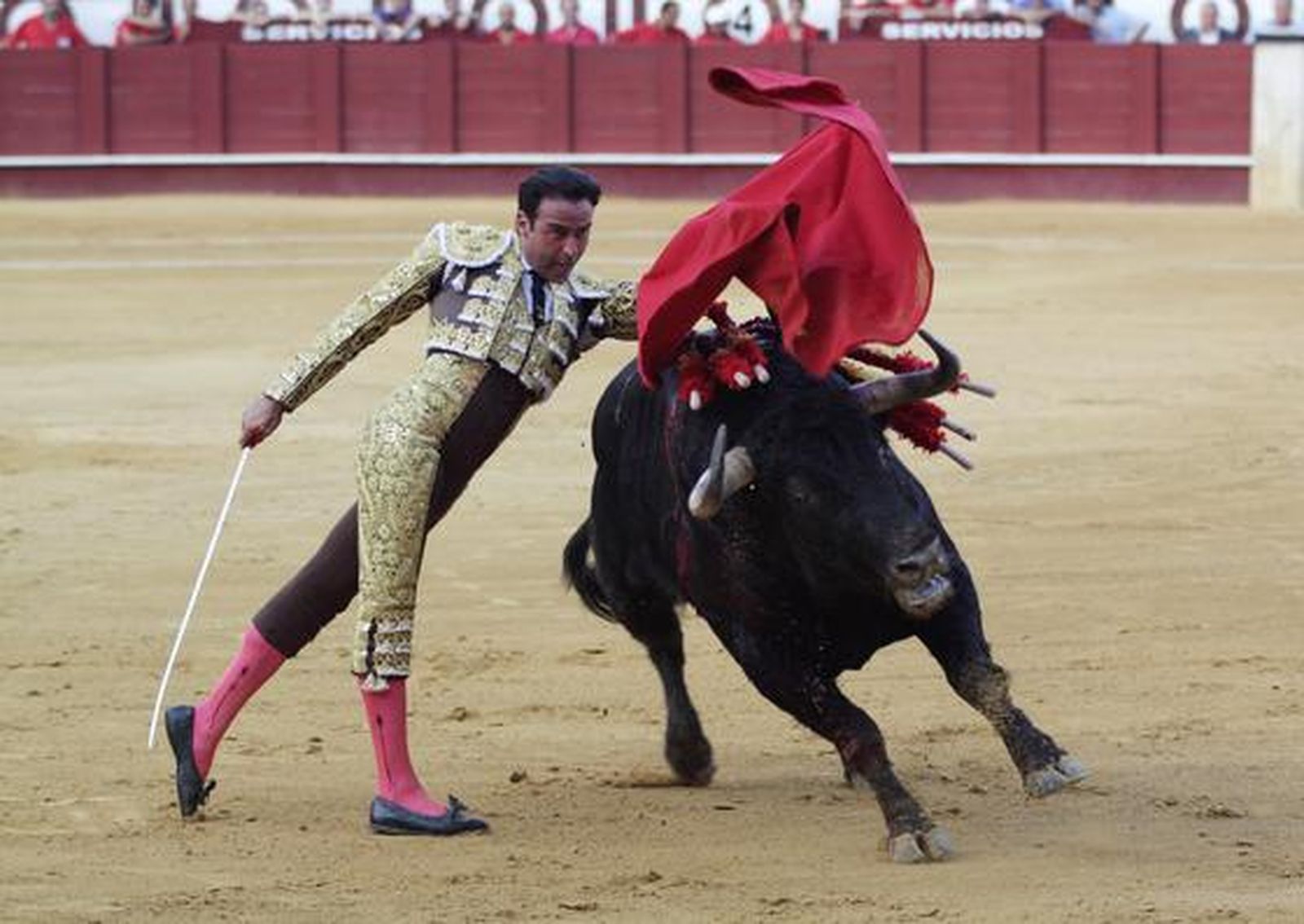 Enrique Ponce y José María Manzanares abrieron la puerta grande de Manolo Segura. Conde pasó inadvertido. 

Foto: Migue Fernandez