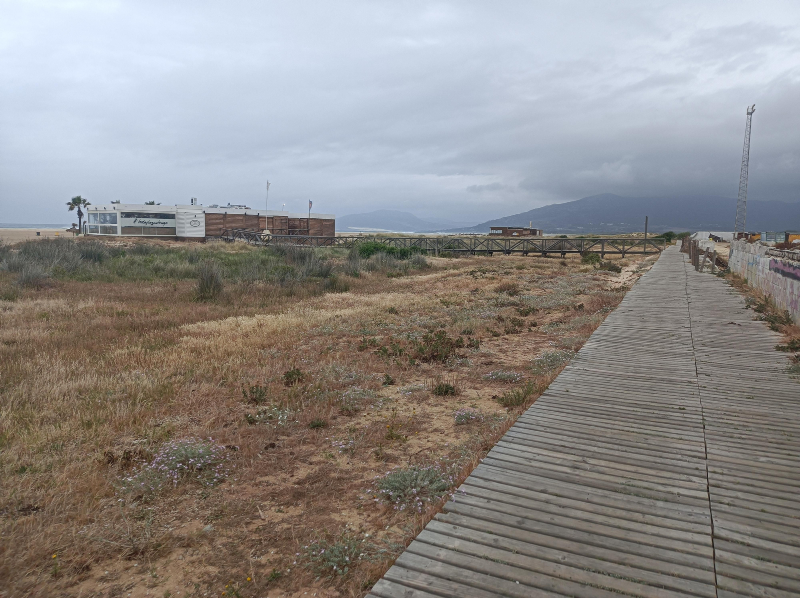 Cuando acabe el paseo, vamos por tablas.