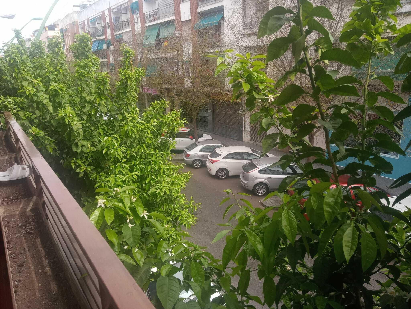 Coronavirus en Córdoba: '#CórdobaDesdeMiVentana', las imágenes de los cordobeses en estado de alerta