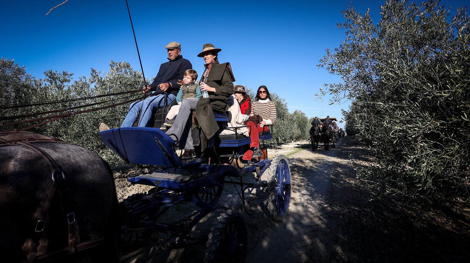 I Ruta de Carruajes Viñas de Jerez