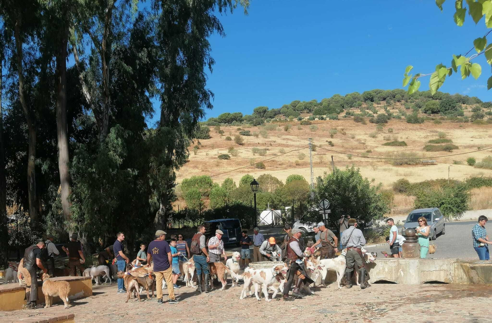 La XX concentración de rehalas de Villaviciosa de Córdoba, en imágenes