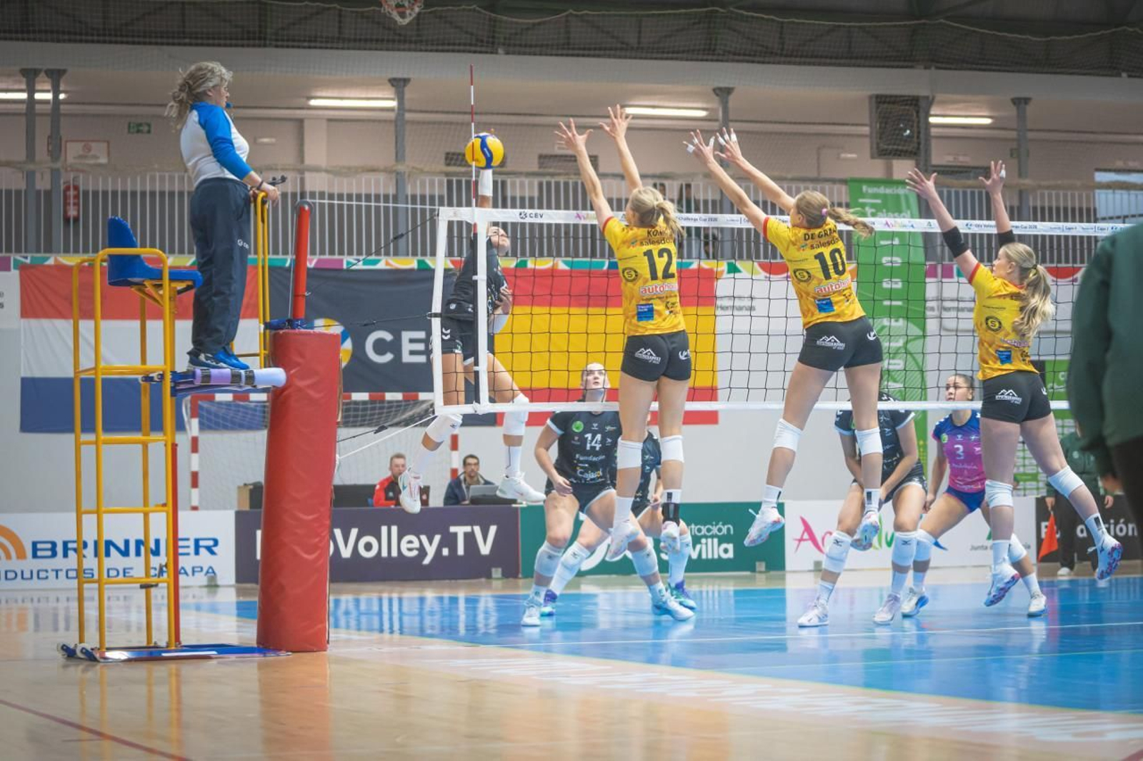 Las fotos del Fundación Cajasol Andalucía-Dynamo Apeldoorn