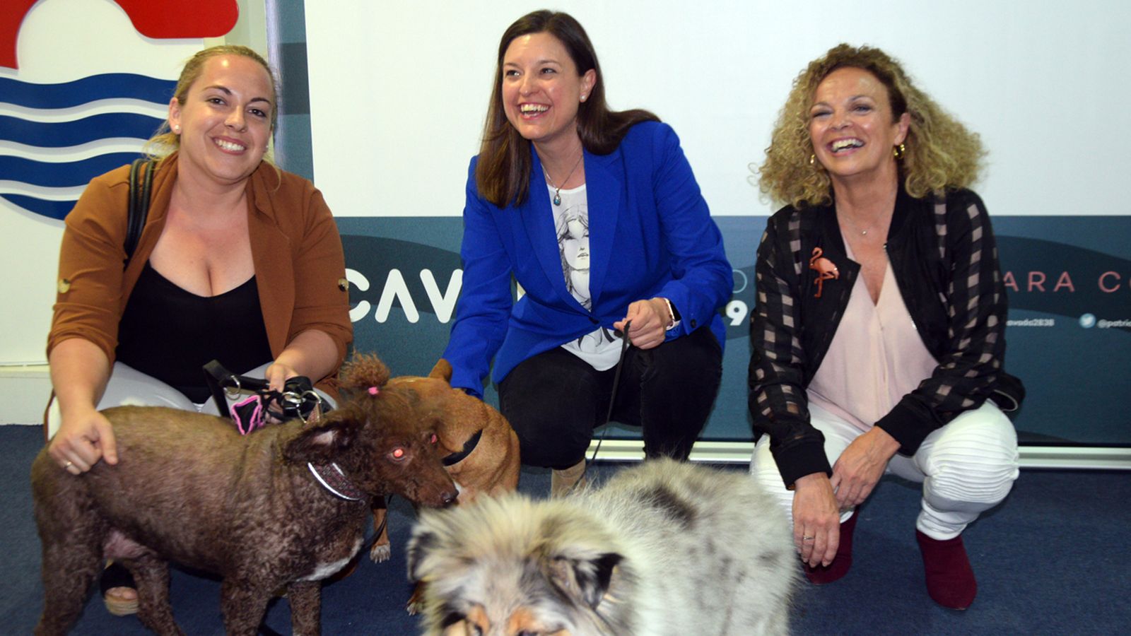 Cavada, el día de la presentación de sus propuestas en materia de bienestar animal.