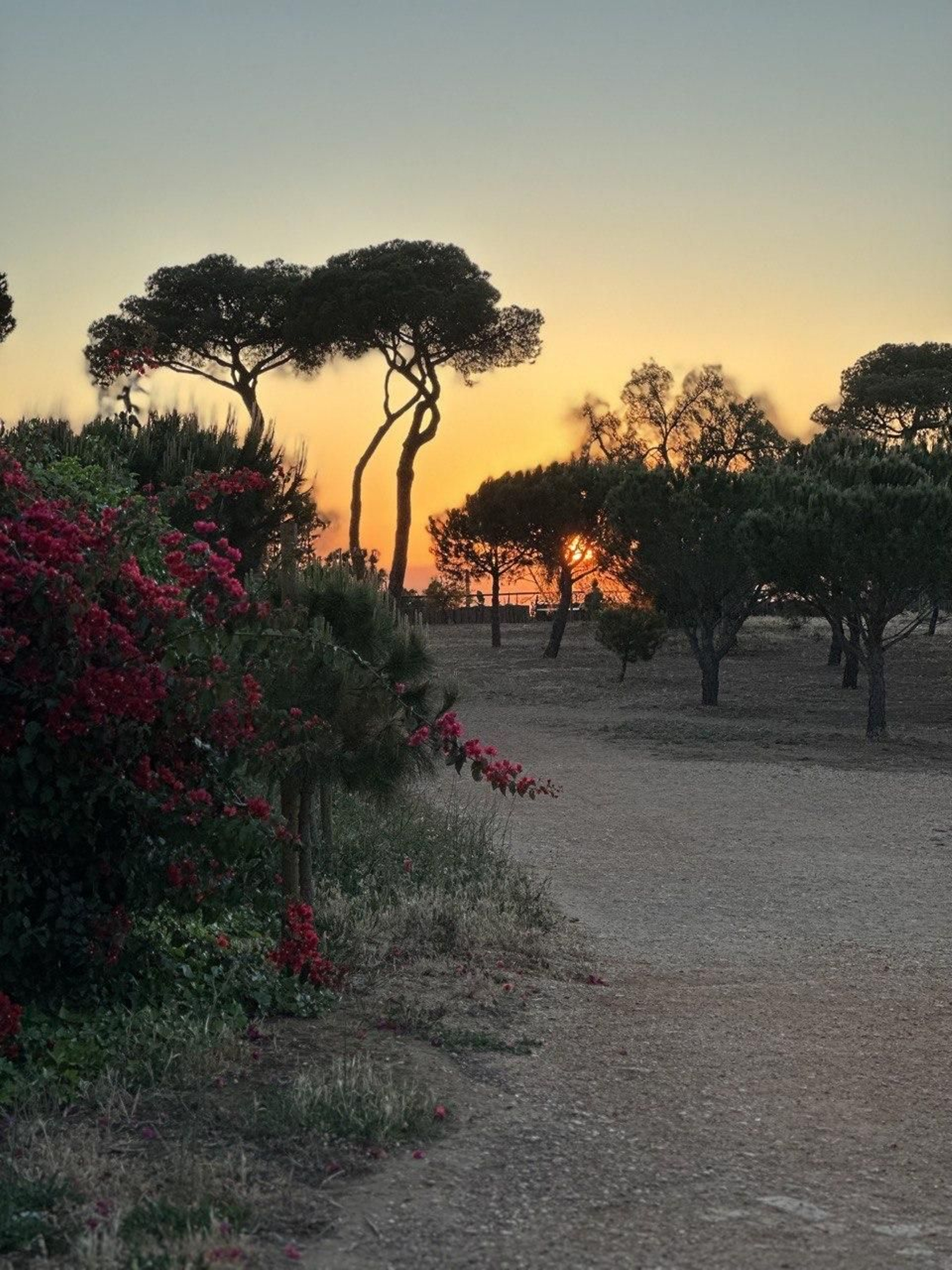 Mirador del Parque Moret