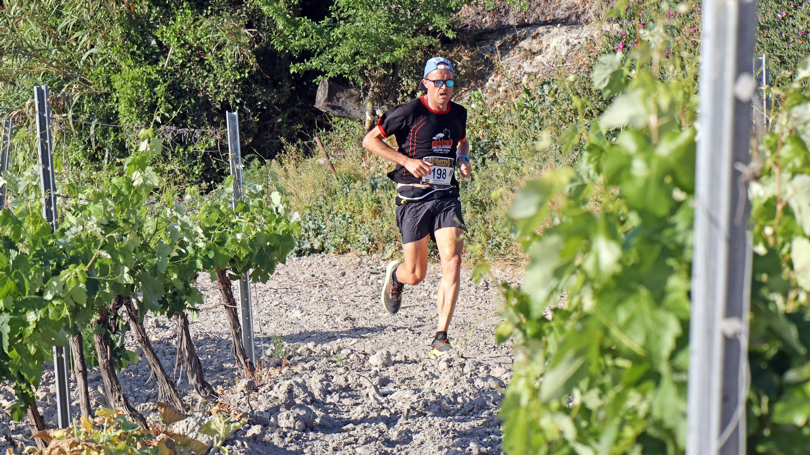 VI Sherry Maratón Jerez