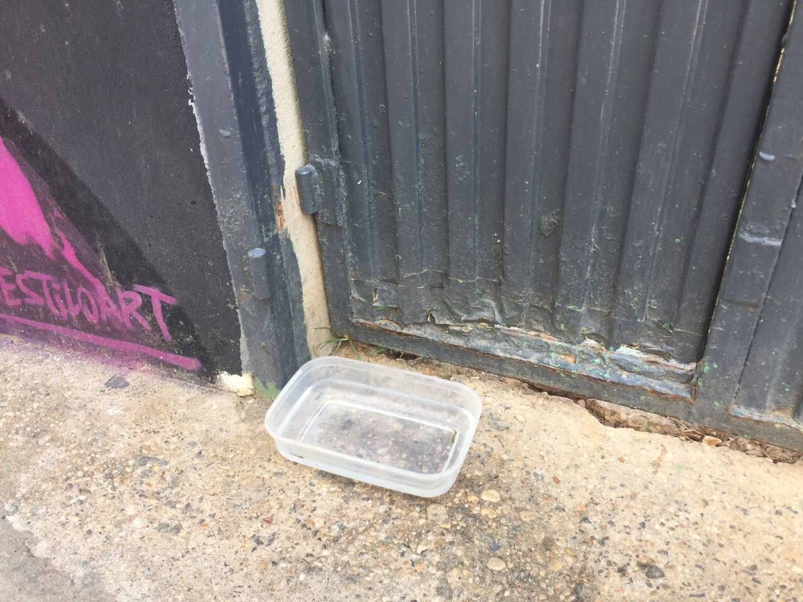 Puerta del cerramiento del solar de La Soledad.