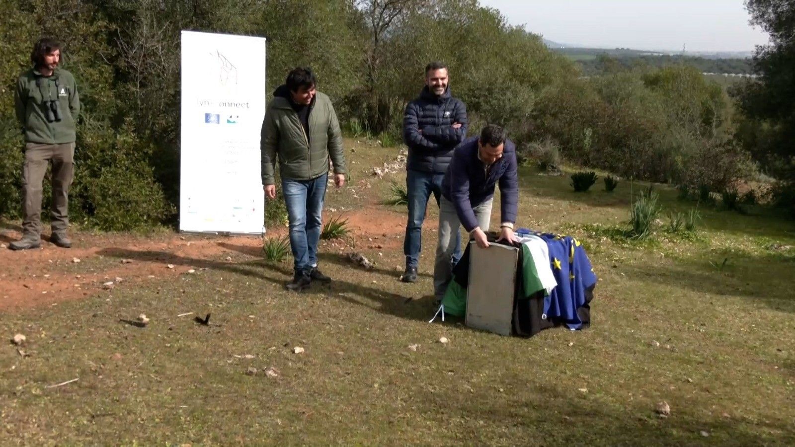 La suelta del lince 'Tempul' en Almodóvar del Río, en imágenes