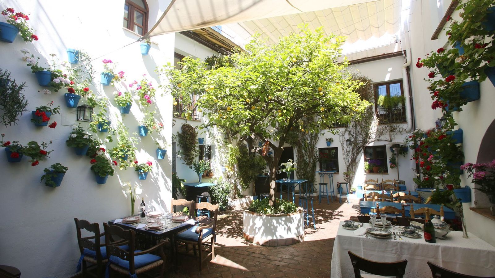 Un frondoso limonero preside El Patio de María