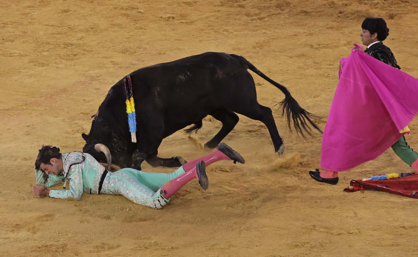 Fotos de la novillada sin picadores del miércoles de la Feria Real de Algeciras 2025