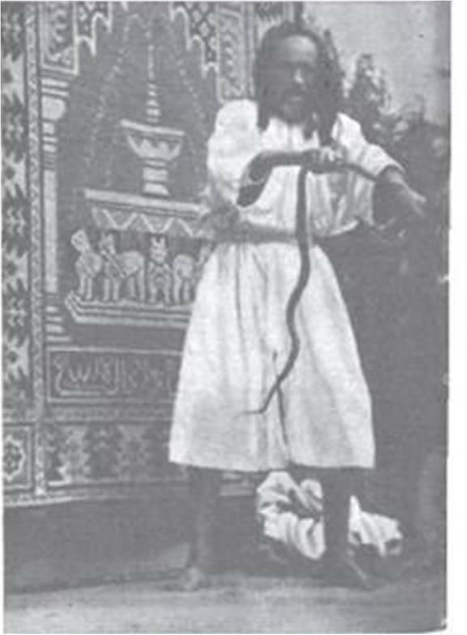 El encantador de serpientes