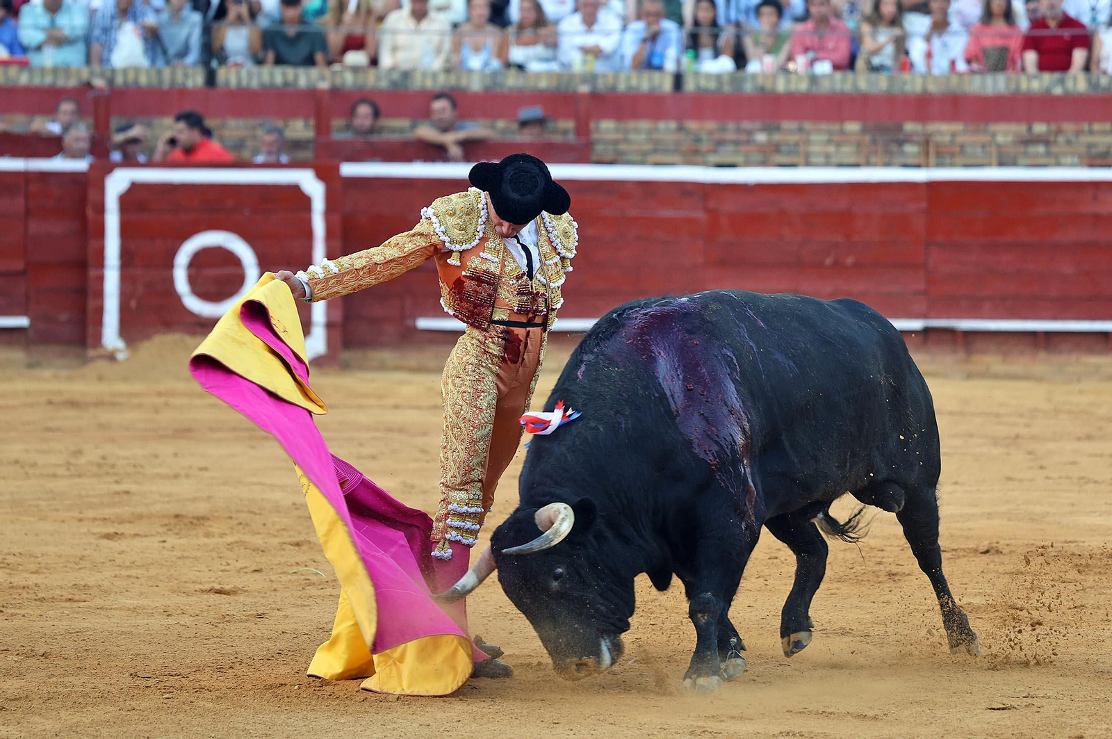 Toros La Merced 2025: Imágenes de la Corrida de Toros de Morante de la Puebla, Daniel Luque y Juan Ortega