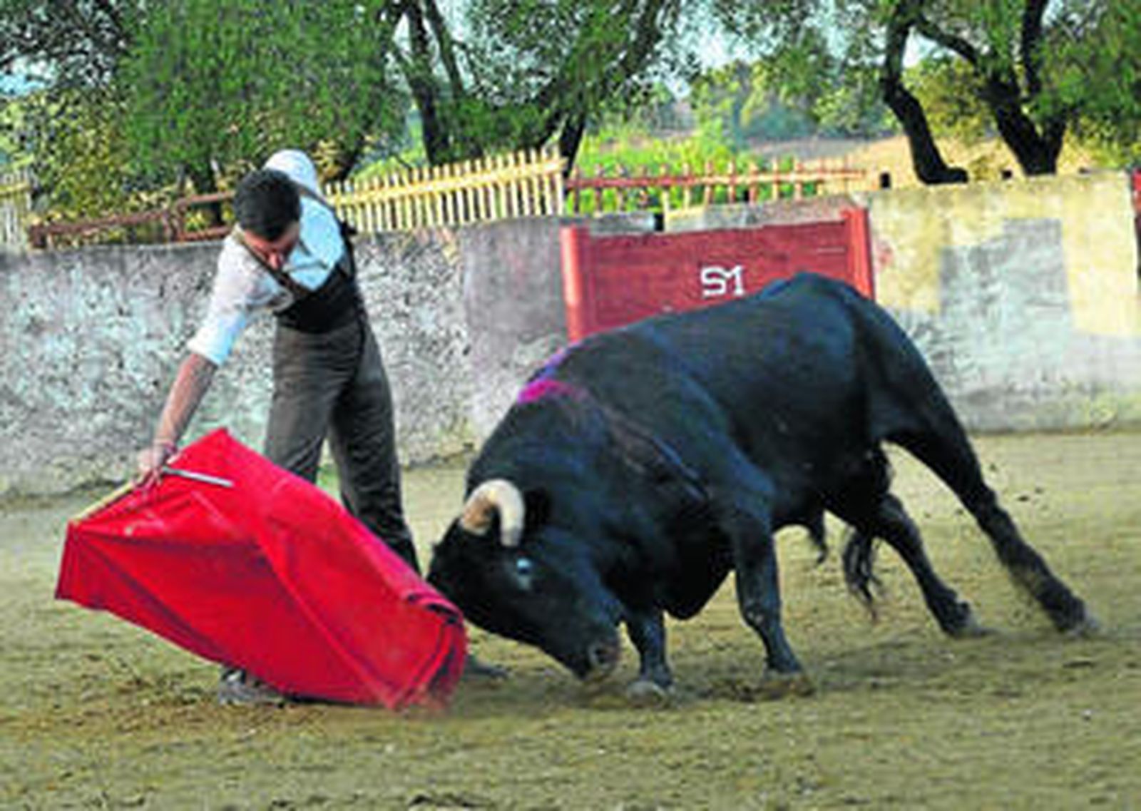 Octavio Chacón tentando un toro de San Miguel la pasada semana en 'Fábrica de las bombas', en Jimena.