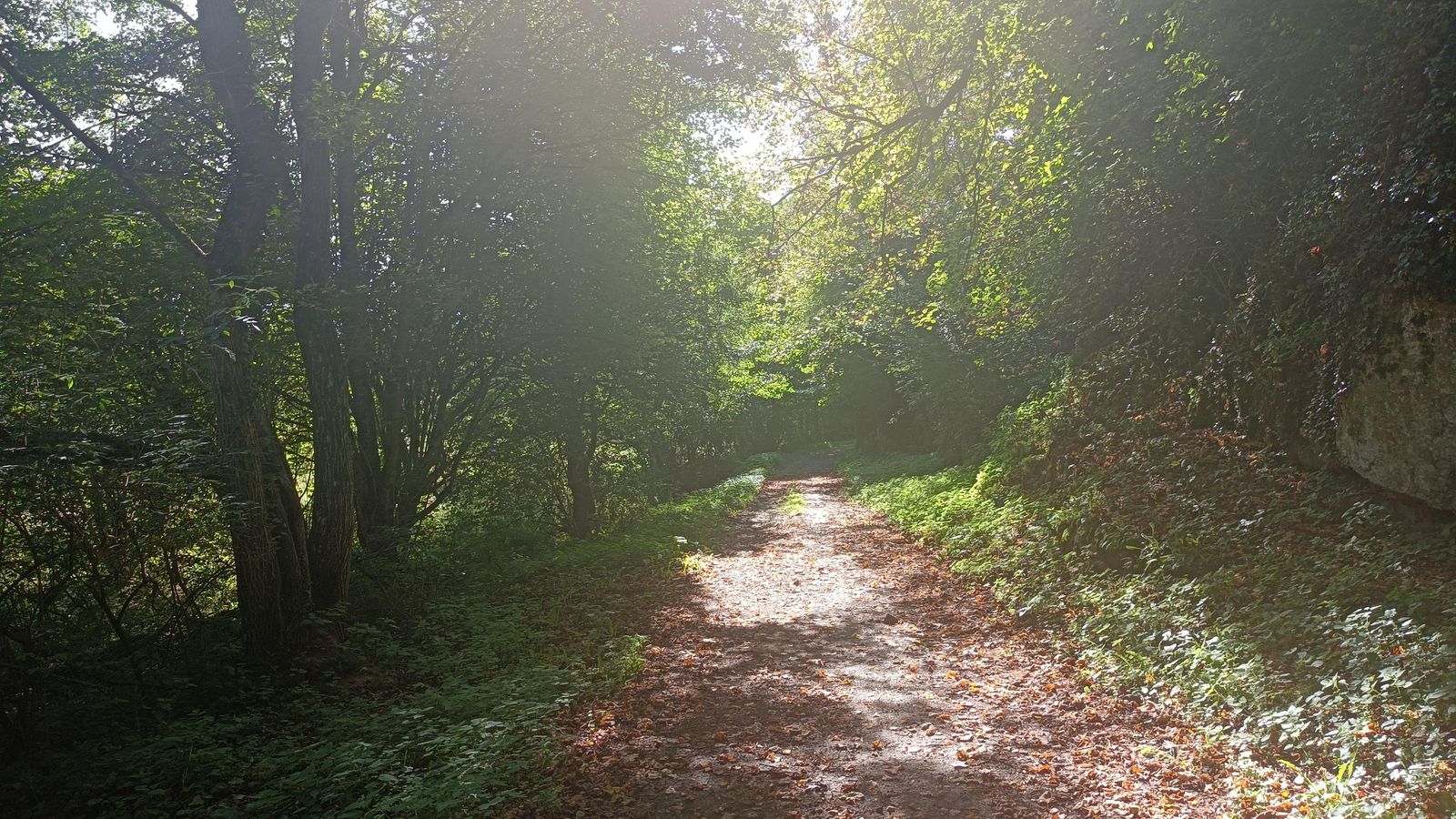 Salimos de la carretera por una pista bastante amplia.