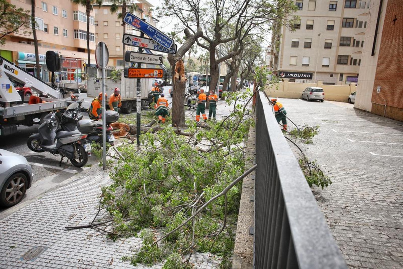Imágenes: Los efectos del temporal de viento de Levante en Cádiz